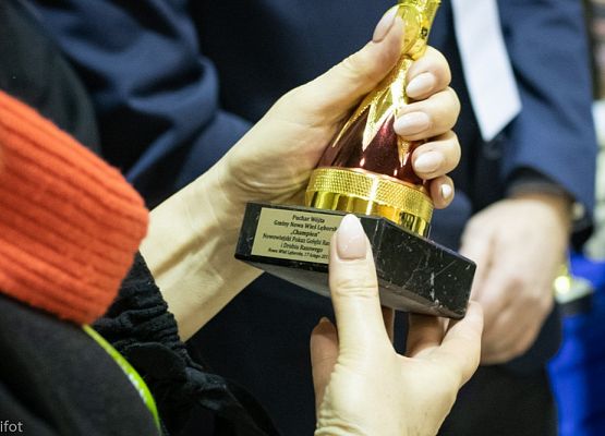 Grafika 158: III NOWOWIEJSKI POKAZ GOŁĘBII RASOWYCH I DROBIU RASOWEGO - FOTORELACJA WIFOT