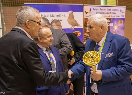 Grafika 175: III NOWOWIEJSKI POKAZ GOŁĘBII RASOWYCH I DROBIU RASOWEGO - FOTORELACJA WIFOT