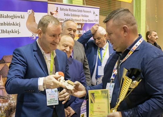 Grafika 179: III NOWOWIEJSKI POKAZ GOŁĘBII RASOWYCH I DROBIU RASOWEGO - FOTORELACJA WIFOT