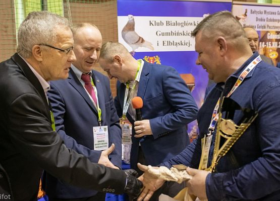 Grafika 178: III NOWOWIEJSKI POKAZ GOŁĘBII RASOWYCH I DROBIU RASOWEGO - FOTORELACJA WIFOT