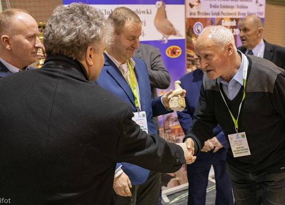 Grafika 181: III NOWOWIEJSKI POKAZ GOŁĘBII RASOWYCH I DROBIU RASOWEGO - FOTORELACJA WIFOT