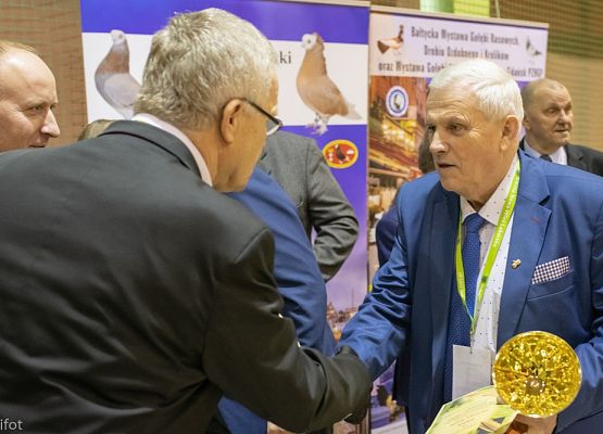 Grafika 185: III NOWOWIEJSKI POKAZ GOŁĘBII RASOWYCH I DROBIU RASOWEGO - FOTORELACJA WIFOT