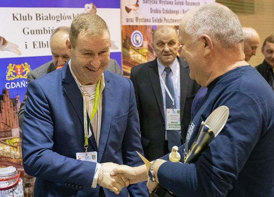 Grafika 186: III NOWOWIEJSKI POKAZ GOŁĘBII RASOWYCH I DROBIU RASOWEGO - FOTORELACJA WIFOT