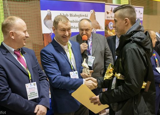 Grafika 188: III NOWOWIEJSKI POKAZ GOŁĘBII RASOWYCH I DROBIU RASOWEGO - FOTORELACJA WIFOT