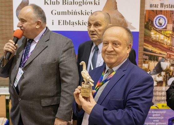 Grafika 189: III NOWOWIEJSKI POKAZ GOŁĘBII RASOWYCH I DROBIU RASOWEGO - FOTORELACJA WIFOT