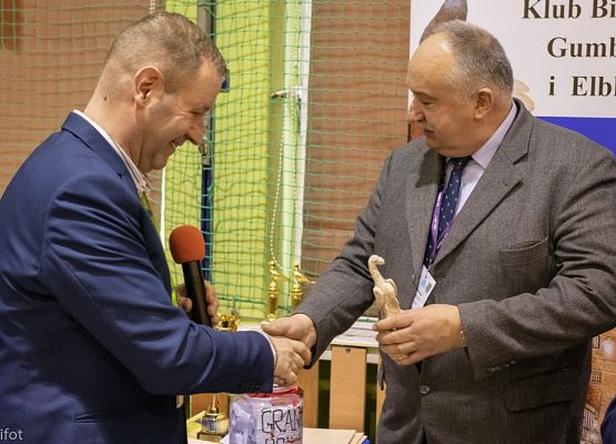 Grafika 190: III NOWOWIEJSKI POKAZ GOŁĘBII RASOWYCH I DROBIU RASOWEGO - FOTORELACJA WIFOT