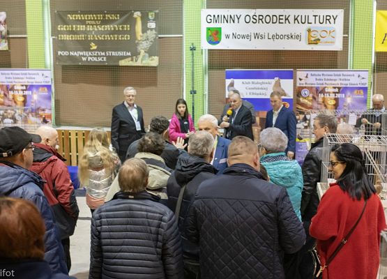 Grafika 196: III NOWOWIEJSKI POKAZ GOŁĘBII RASOWYCH I DROBIU RASOWEGO - FOTORELACJA WIFOT