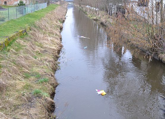 Grafika 7: PIERWSZY DZIEŃ WIOSNY