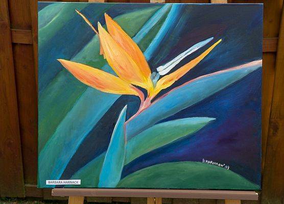 Grafika 20: Wernizaż poplenerowy "Piękno Natury"