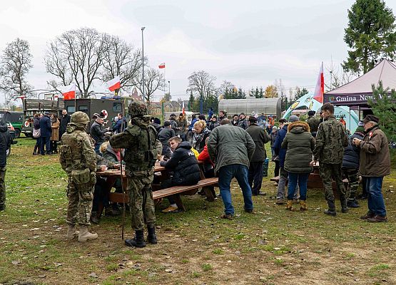 Grafika 1: Piękny Listopadowy dzień kolejnej 101 rocznicy Niepodległości