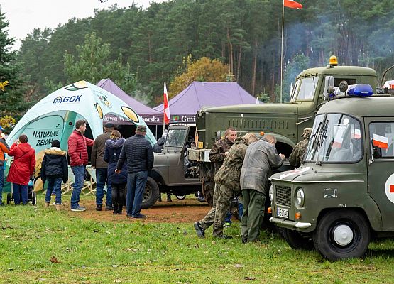Grafika 5: Piękny Listopadowy dzień kolejnej 101 rocznicy Niepodległości