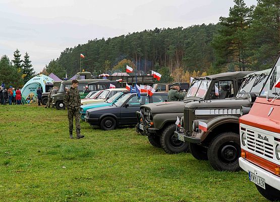 Grafika 7: Piękny Listopadowy dzień kolejnej 101 rocznicy Niepodległości