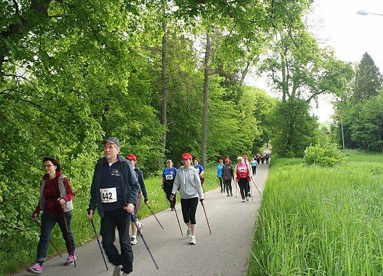 Grafika 6: 30 maja – Zielona Trasa Nordic Walking - Obliwice – „Zdobywamy SAHARĘ” -7,7 km