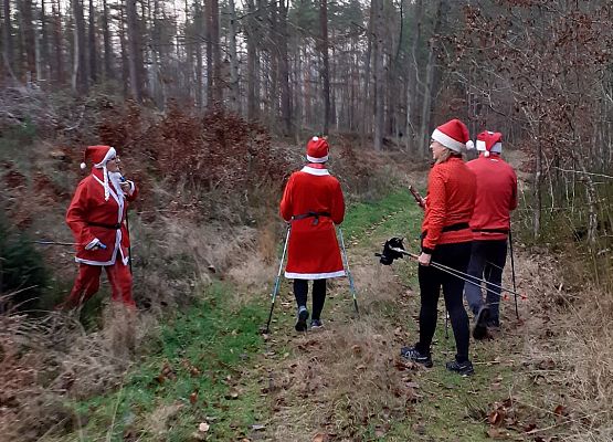 uczestnicy wirtualnego nordic walking w strojach mikołajowych
