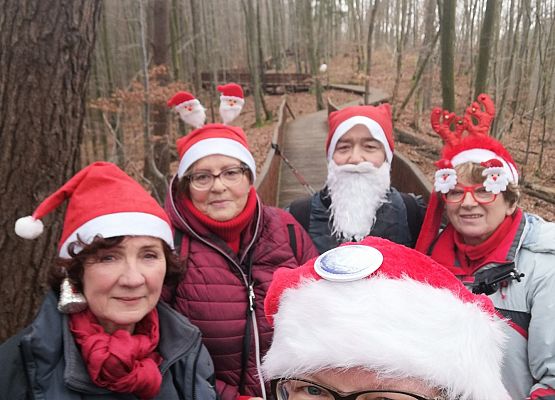 uczestnicy wirtualnego nordic walking w strojach mikołajowych