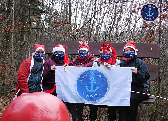 uczestnicy wirtualnego nordic walking w strojach mikołajowych