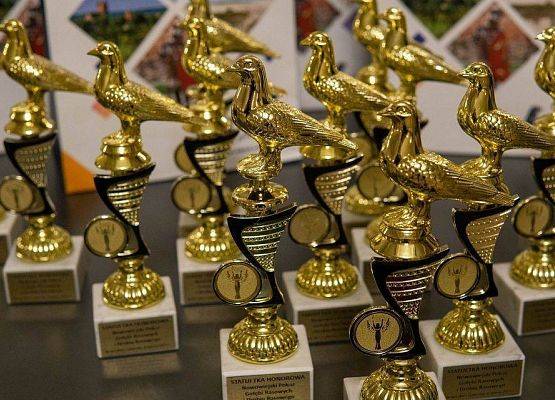 Statuetki konkursowe na pokaz Drobiu Rasowego
