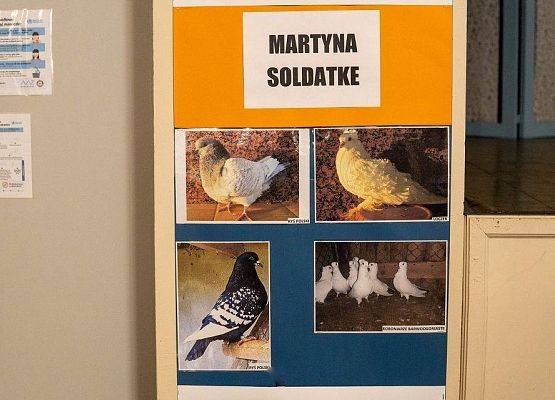 Kilka zdjęć z ptakami rasowymi na wystawie GOK