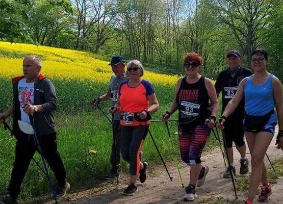 Grafika 1: Podsumowanie Nordic Walking w Wilkowie