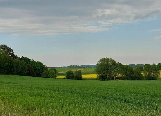 Na zdjęciu krajobraz pokazujący pola