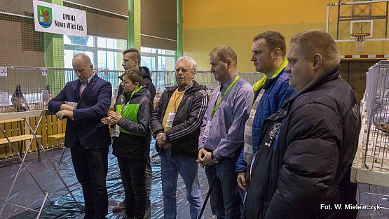 Grafika 22: II NOWOWIEJSKI POKAZ GOŁĘBII RASOWYCH I DROBIU RASOWEGO pod patronatem Wójta Gminy Nowa Wieś Lęborska.