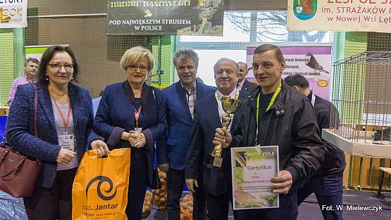 Grafika 35: II NOWOWIEJSKI POKAZ GOŁĘBII RASOWYCH I DROBIU RASOWEGO pod patronatem Wójta Gminy Nowa Wieś Lęborska.