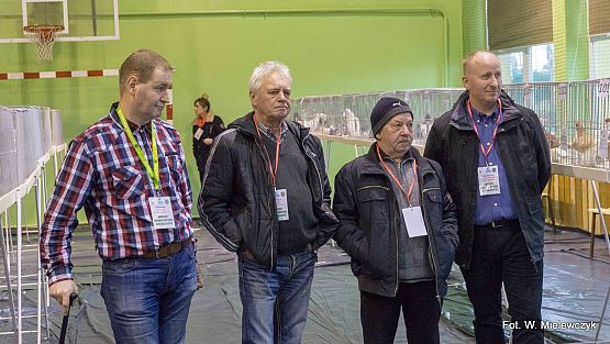 Grafika 38: II NOWOWIEJSKI POKAZ GOŁĘBII RASOWYCH I DROBIU RASOWEGO pod patronatem Wójta Gminy Nowa Wieś Lęborska.