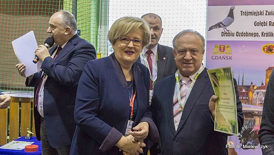 Grafika 60: II NOWOWIEJSKI POKAZ GOŁĘBII RASOWYCH I DROBIU RASOWEGO pod patronatem Wójta Gminy Nowa Wieś Lęborska.