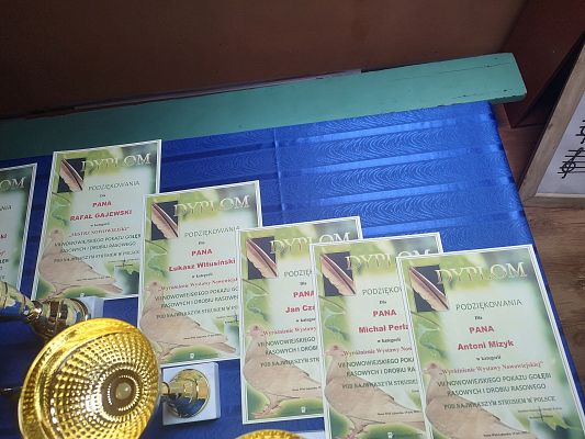 Przygotowane dyplomy dla uczestników wystawy