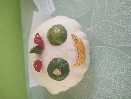 Grafika 7: Wyniki konkursu "Jesienne Eko-cudaki"