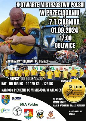 Grafika dekoracyjna.