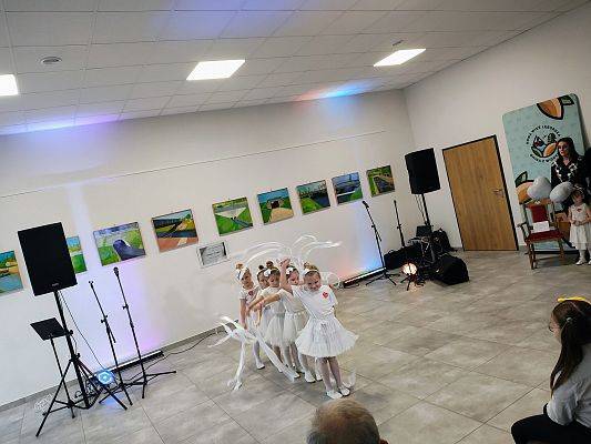 Grafika 15: Finał WOŚP 2025